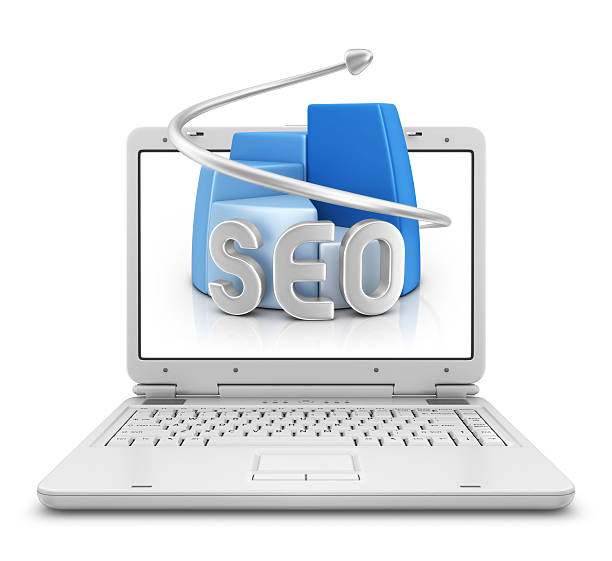 Hire the Best SEO Company in Udaipur | 100% White Hat SEO